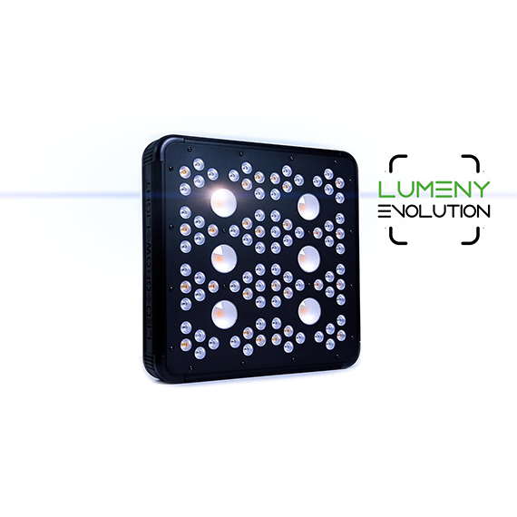led lamp indoor